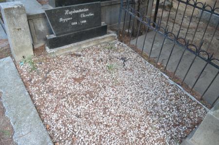 Navtlugi Jewish Cemetery