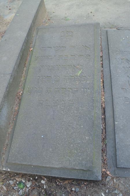 Navtlugi Jewish Cemetery