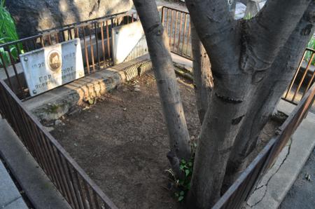 Navtlugi Jewish Cemetery