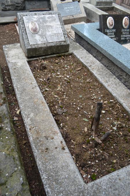 Navtlugi Jewish Cemetery