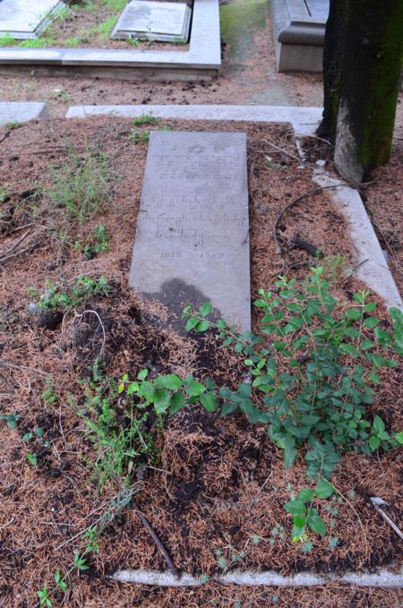 Varketili Jewish Cemetery