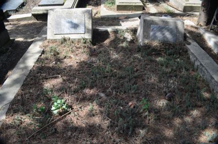 Varketili Jewish Cemetery