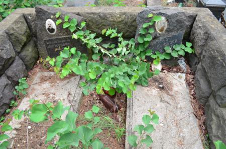 Varketili Jewish Cemetery