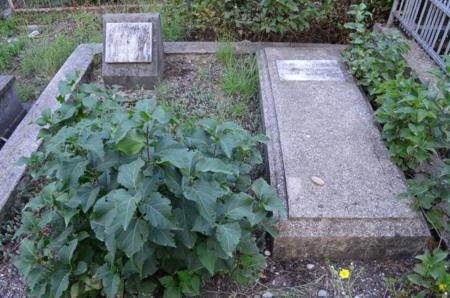 Varketili Jewish Cemetery