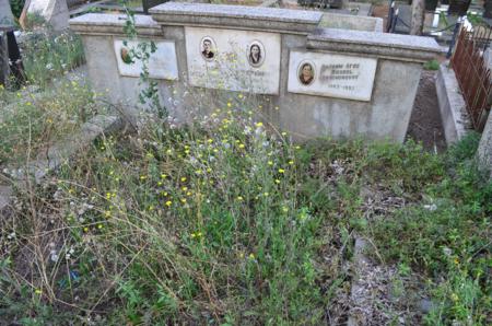 Varketili Jewish Cemetery