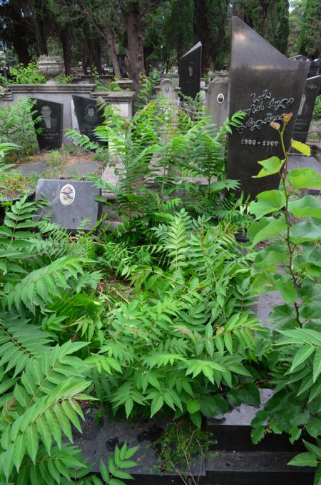 Varketili Jewish Cemetery