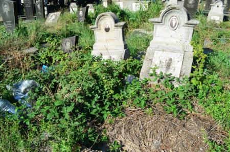 Varketili Jewish Cemetery