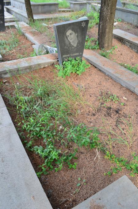 Varketili Jewish Cemetery