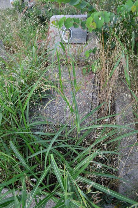 Varketili Jewish Cemetery