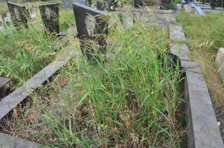 Varketili Jewish Cemetery