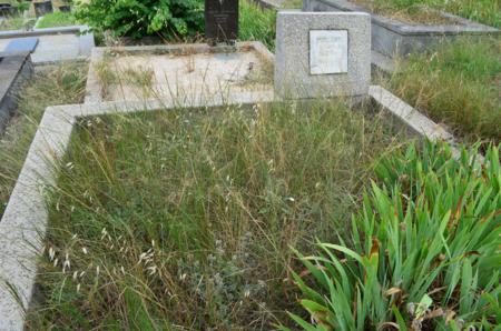 Varketili Jewish Cemetery