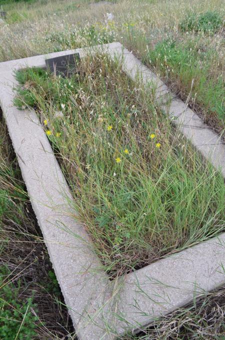 Varketili Jewish Cemetery