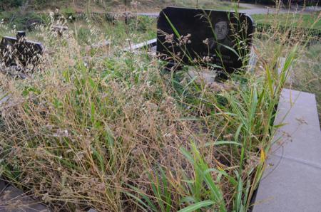 Varketili Jewish Cemetery